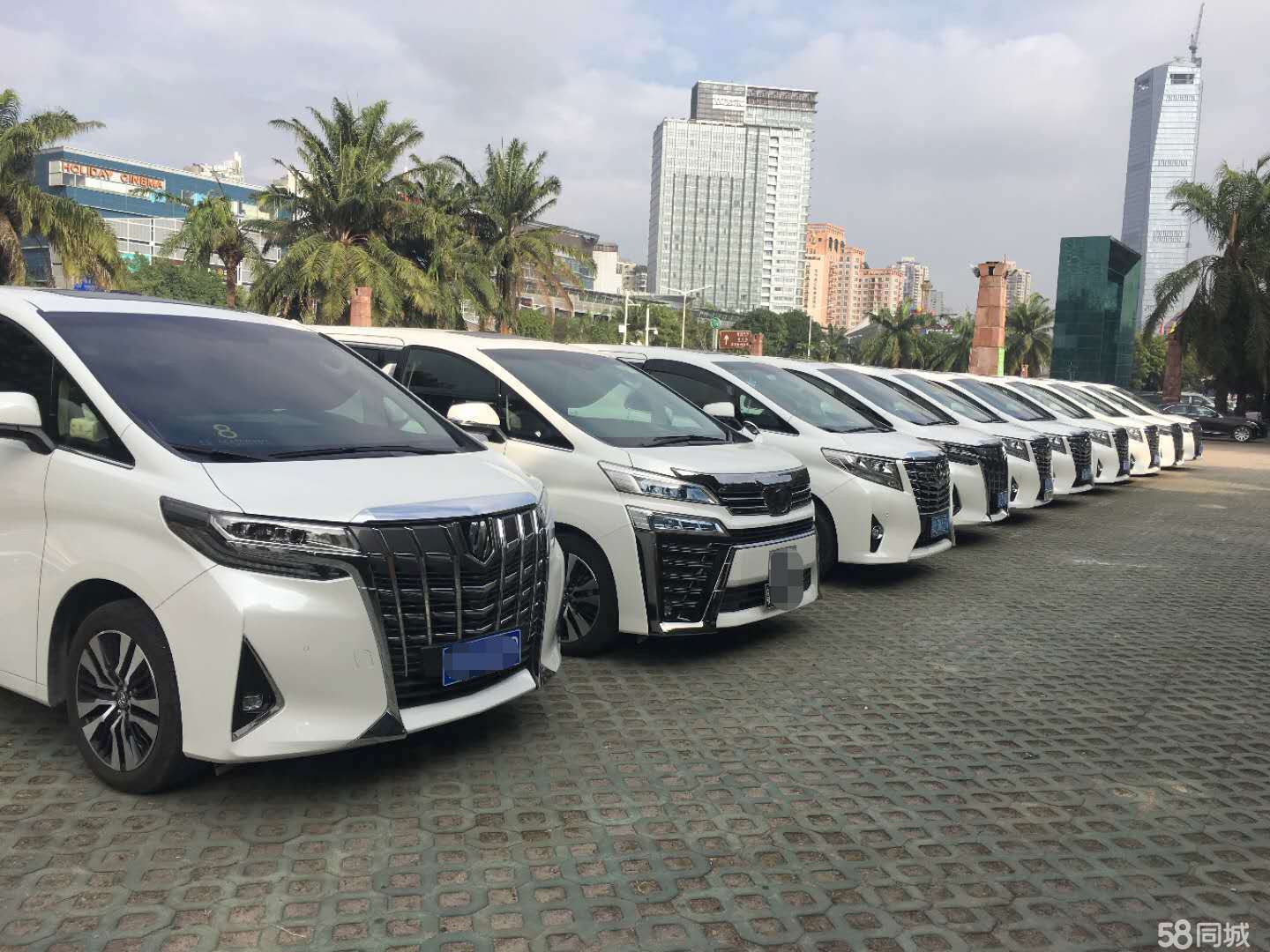 資深汽車租賃商劉經理 三年商務車與豐田埃爾法高端出行服務的專業解析